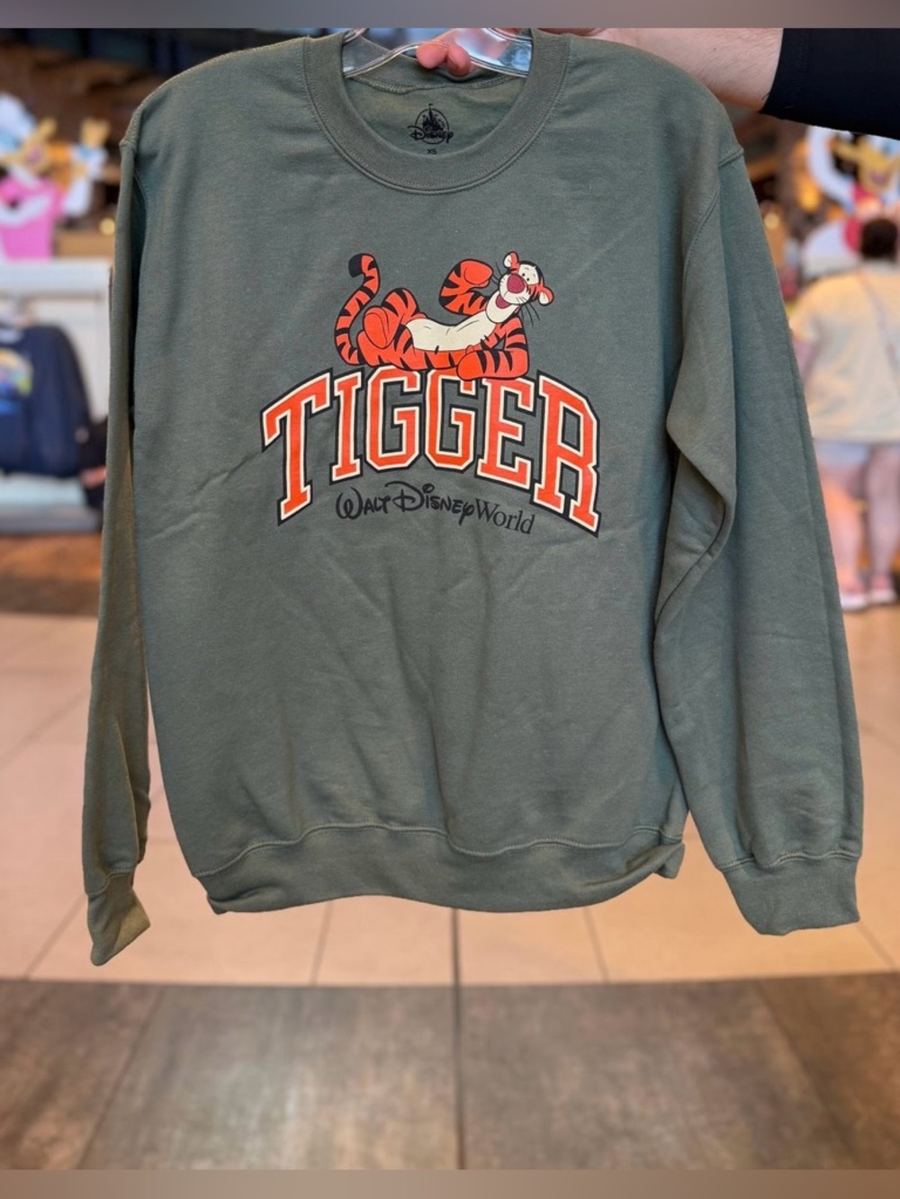 Disney Parks Tiger Sweater WDW 2026